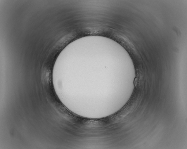 X0000111180123200907221056