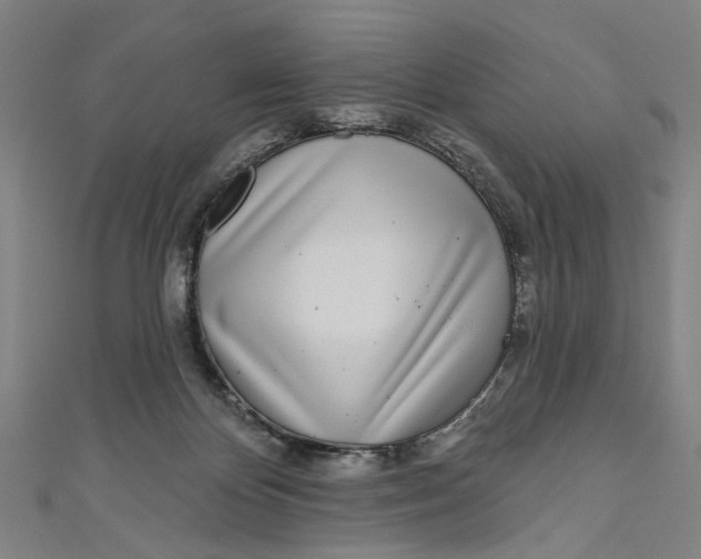 X0000111180124200907221056