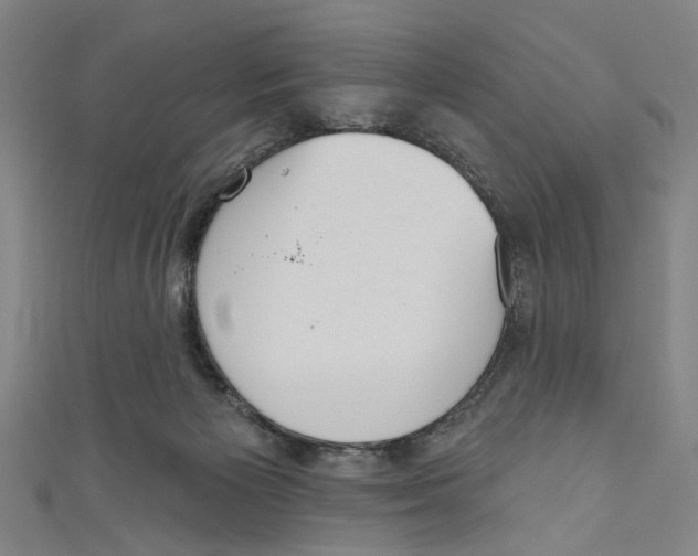 X0000111180125200907221056