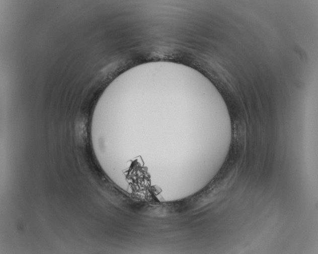 X0000111180127200907221056