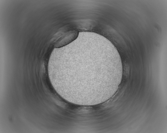 X0000111180128200907221056