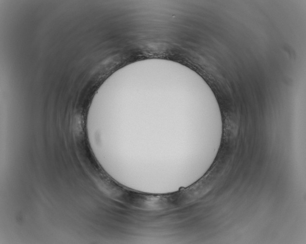 X0000111180130200907221056