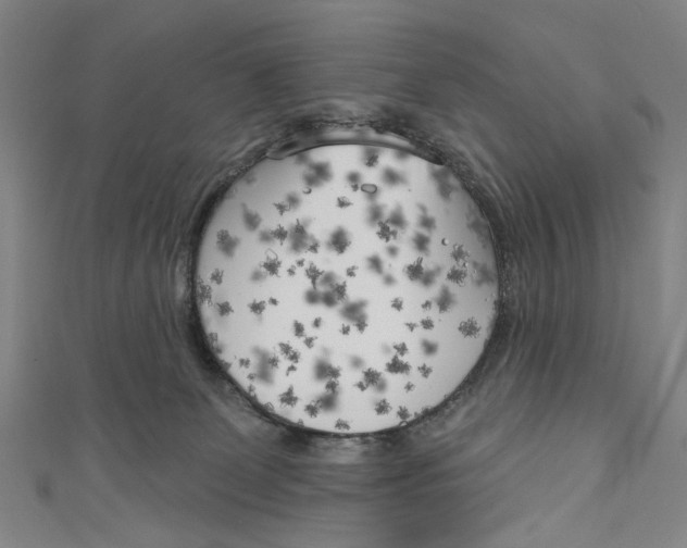 X0000111180131200907221056