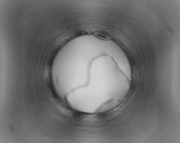 X0000111180132200907221056