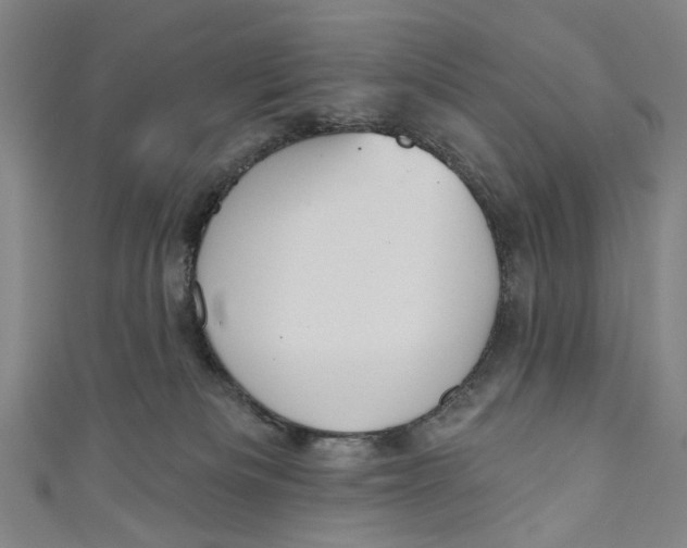 X0000111180133200907221056