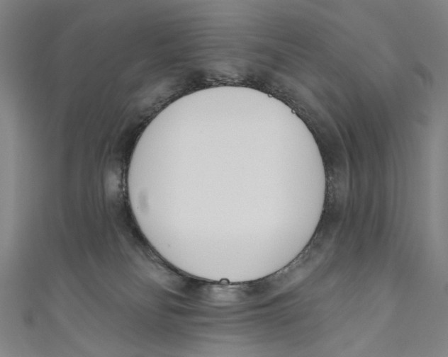 X0000111180134200907221056