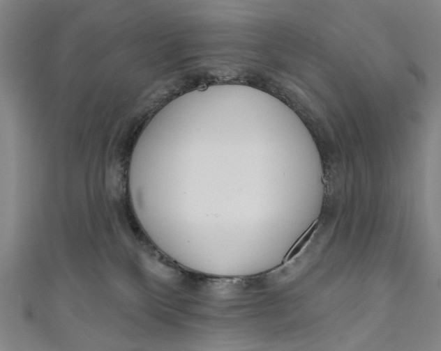 X0000111180136200907221056