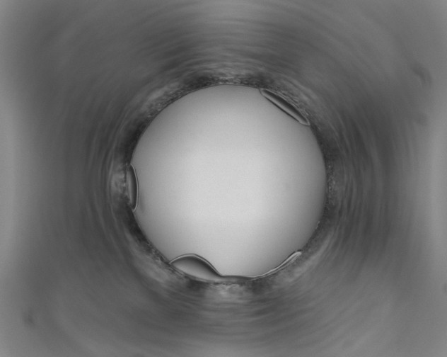 X0000111180137200907221056