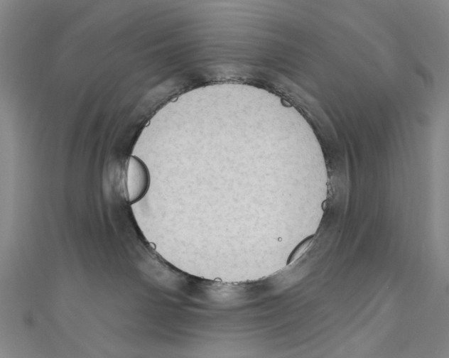 X0000111180142200907221056