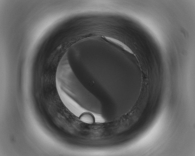 X0000111180143200907221056