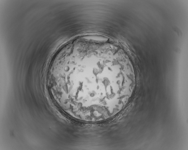 X0000111180145200907221055