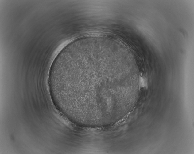 X0000111180147200907221055