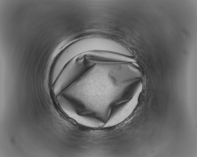 X0000111180150200907221056