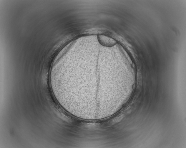 X0000111180153200907221056