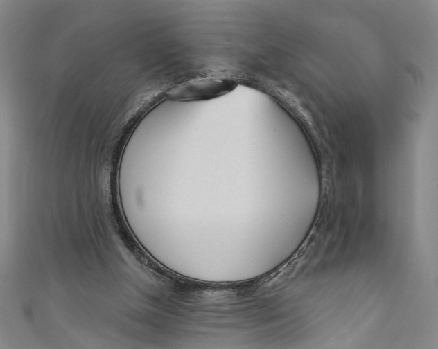 X0000111180154200907221056