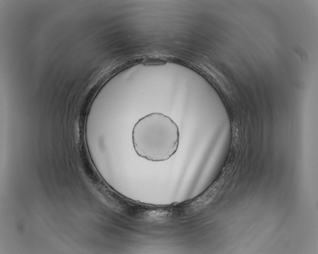 X0000111180158200907221056