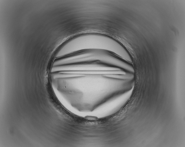 X0000111180160200907221056