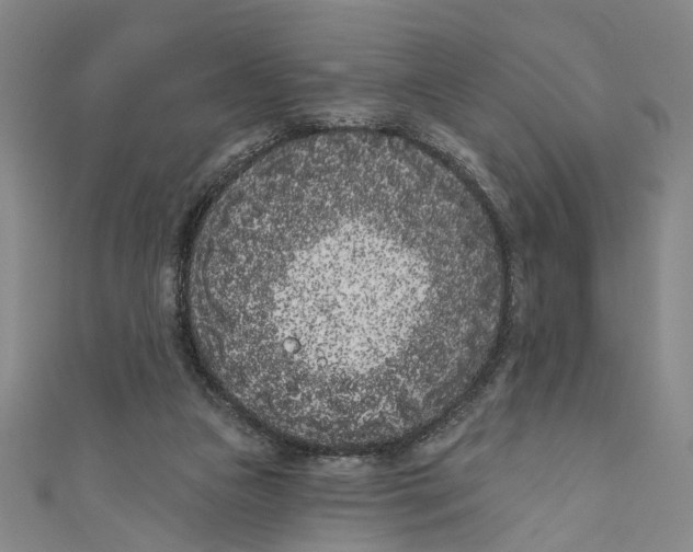 X0000111180161200907221056