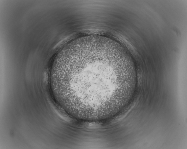 X0000111180165200907221056