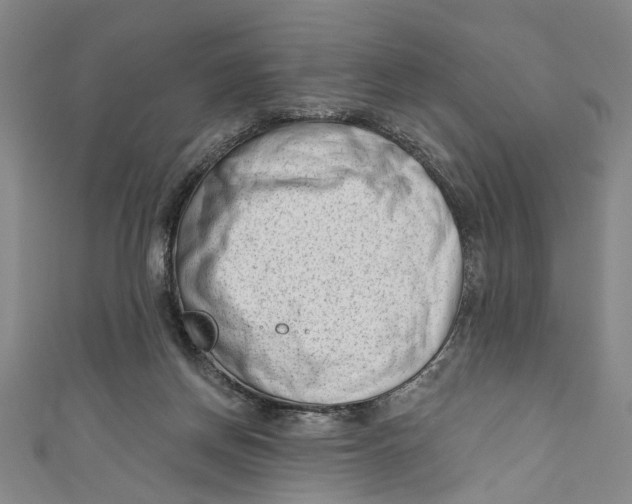 X0000111180166200907221056