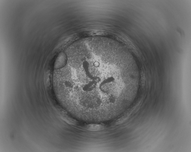 X0000111180169200907221056