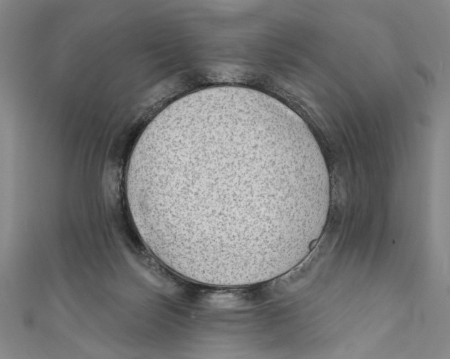 X0000111180171200907221056