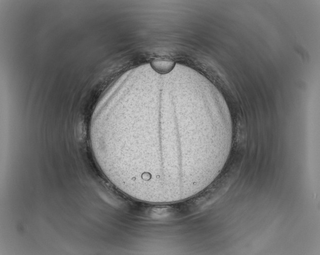 X0000111180173200907221056