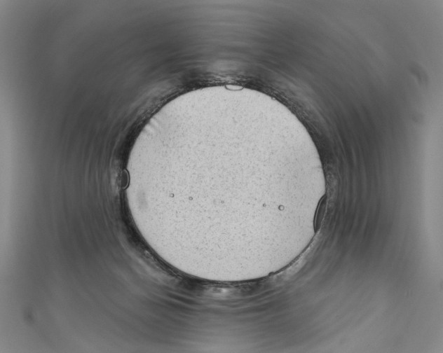 X0000111180174200907221056