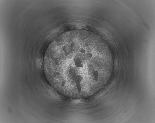 X0000111180177200907221056