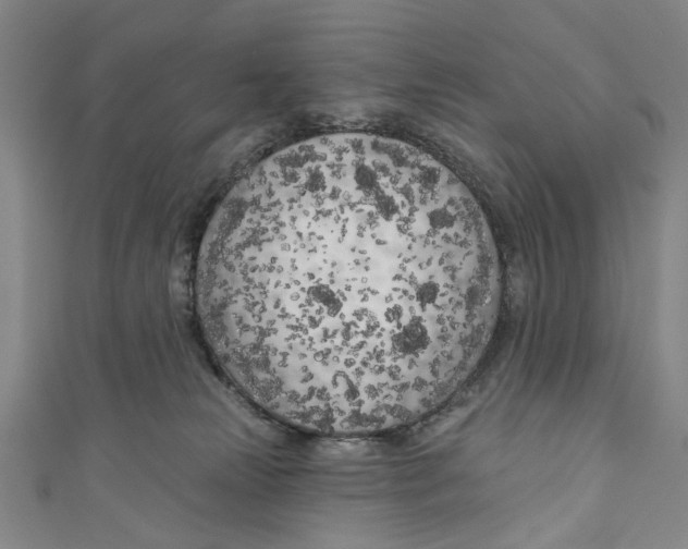 X0000111180181200907221056