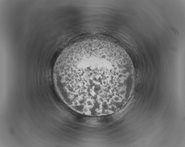 X0000111180182200907221056