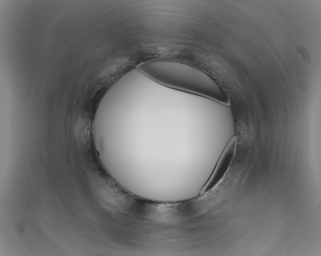 X0000111180184200907221056