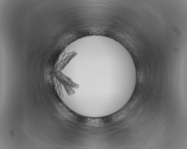 X0000111180185200907221056