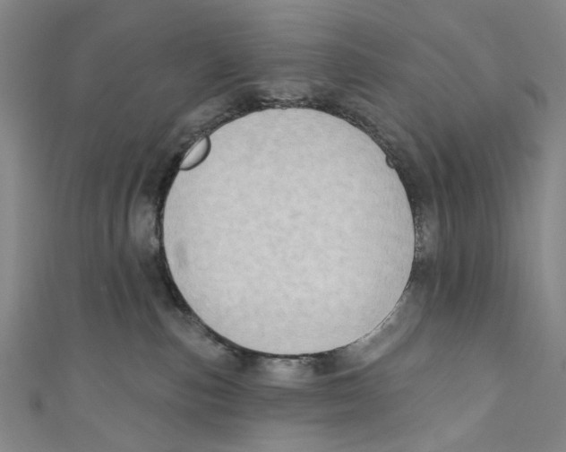 X0000111180187200907221056