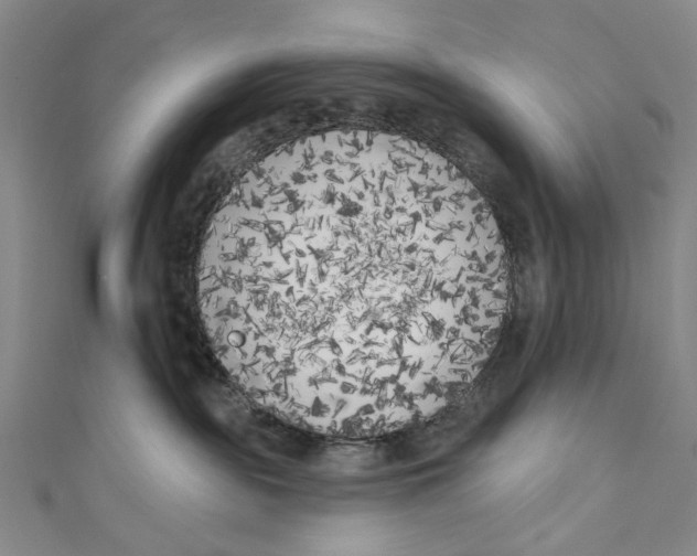 X0000111180189200907221056