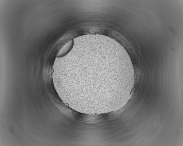 X0000111180191200907221056