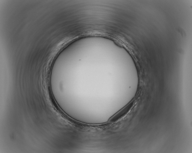 X0000111180193200907221055