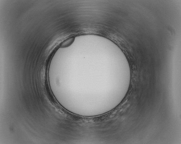 X0000111180194200907221055