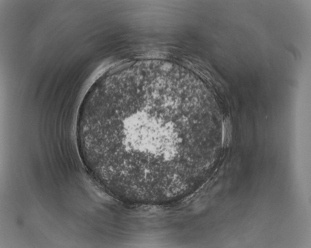 X0000111180195200907221055