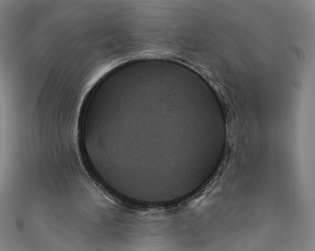 X0000111180196200907221055