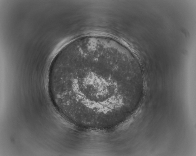 X0000111180199200907221055