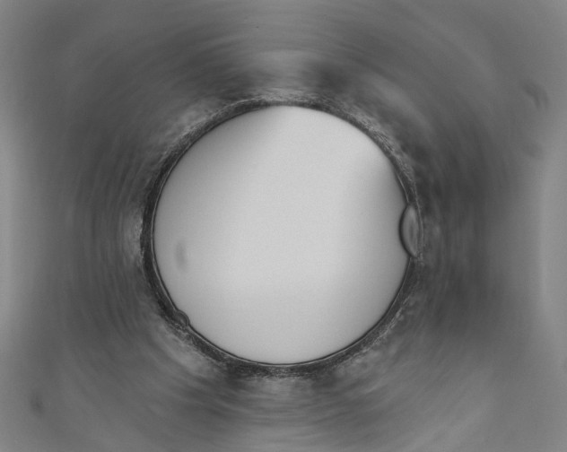 X0000111180201200907221055