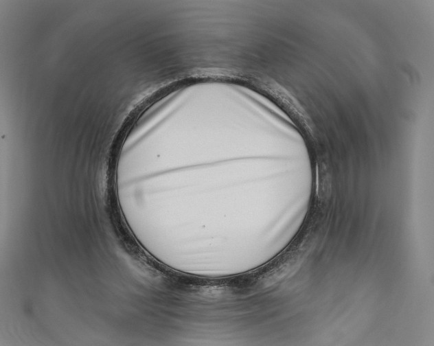 X0000111180204200907221055