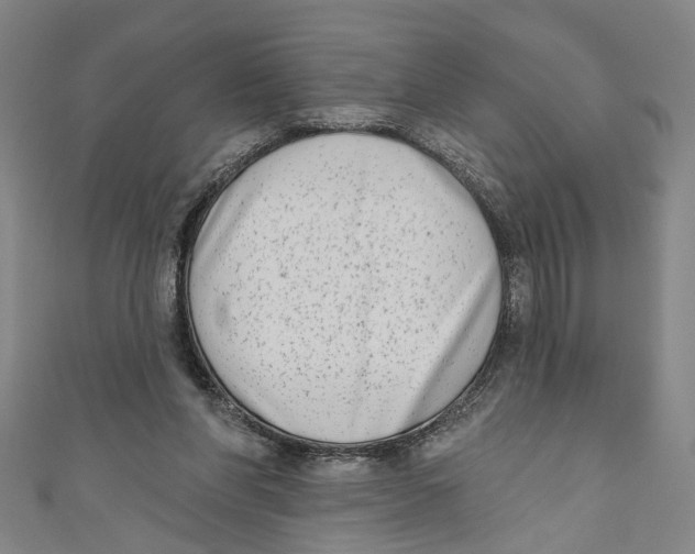 X0000111180206200907221055