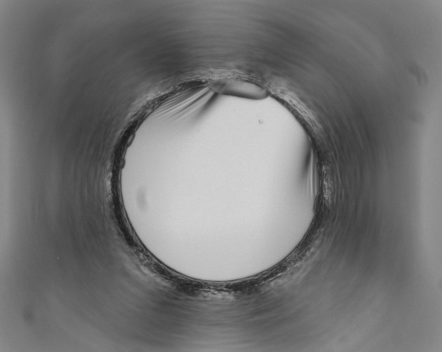 X0000111180207200907221055