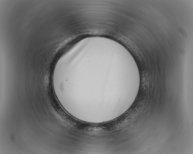 X0000111180208200907221055