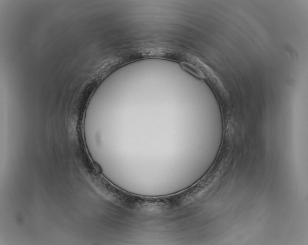 X0000111180209200907221055