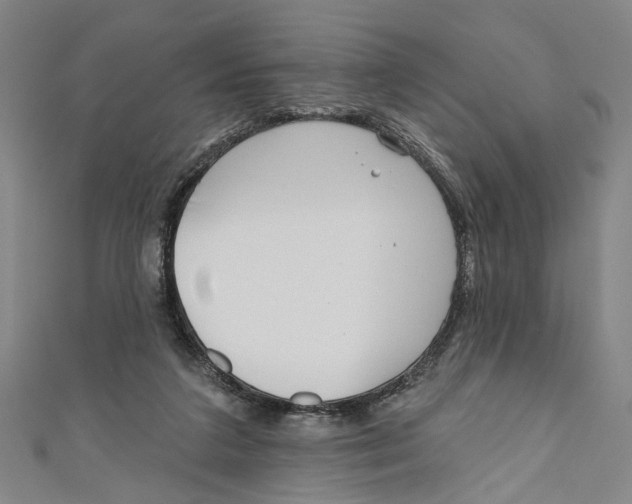 X0000111180211200907221055