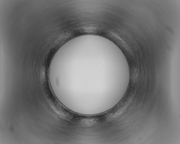 X0000111180213200907221055