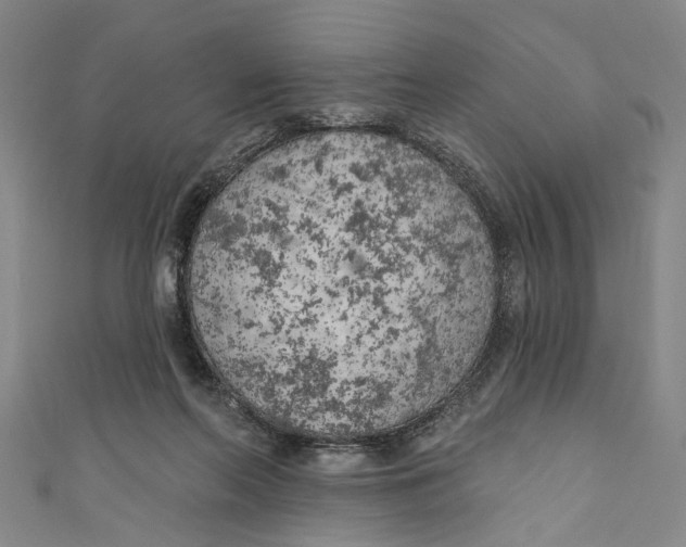 X0000111180214200907221055